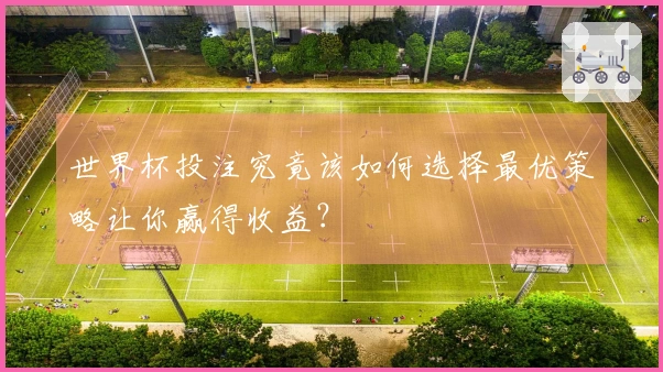 世界杯投注究竟该如何选择最优策略让你赢得收益？
